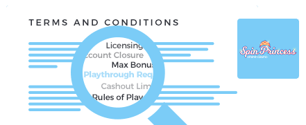 spin princess casino top 10 terms and conditions