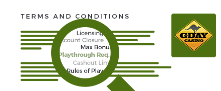 gday terms and conditions