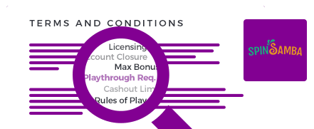 spin-samba terms and conditions