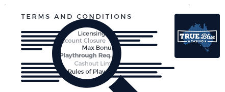 true-blue terms and conditions