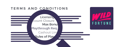 wild fortune terms and conditions