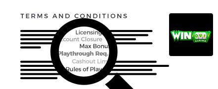 winoui terms and conditions