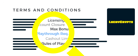 The Lucky Crypto Casino Terms