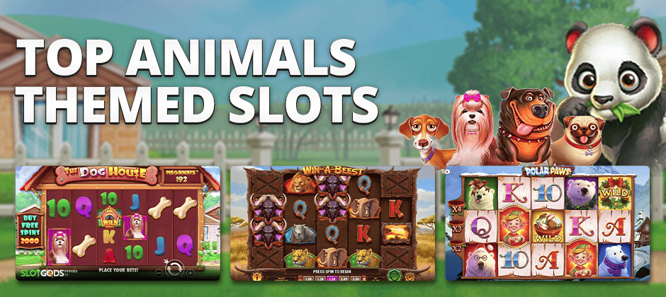 best animal slots