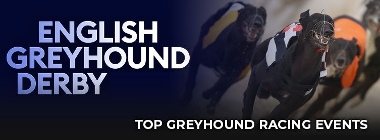 top greyhound racing events