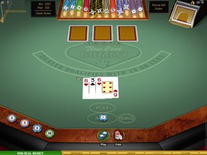 Vegas Winner Casino software screenshot