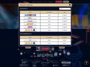 Vegas Plus Casino cashier screenshot