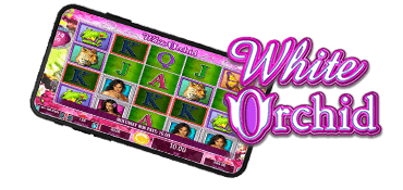 White Orchid Online Slot Review