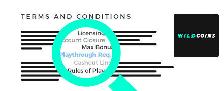 Wild Coins Casino Terms