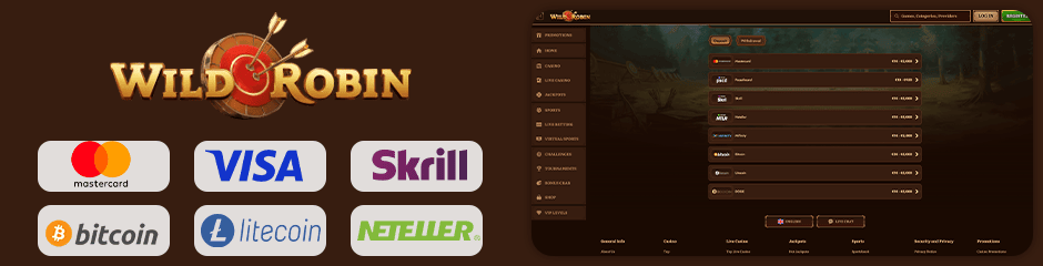 payment options for depositing and withdrawing wild robin casino