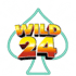 Wild 24 Casino