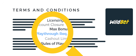 Wildbet Casino Terms