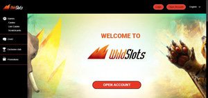 Wild Slots Casino website screenshot