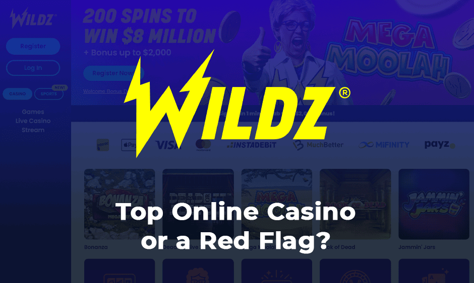 wildz casino canada logo