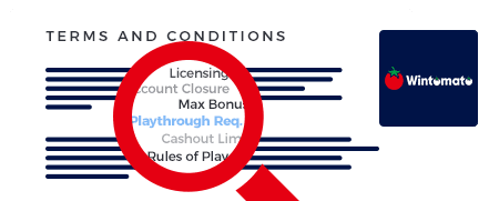 Wintomato Casino Terms