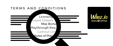 Winz.io Casino Terms and Conditions